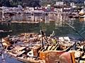 1985년 브랜다 피해현장 썸네일 이미지