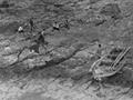 태하어촌계 해태암 조성 풍경 썸네일 이미지