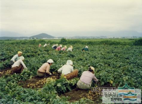 대표시청각 이미지