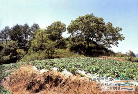 대표시청각 이미지