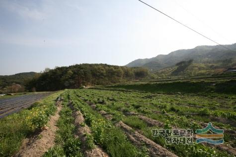 대표시청각 이미지