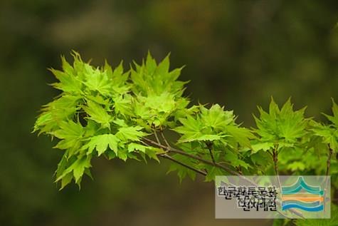 대표시청각 이미지