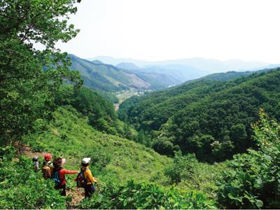 구학산 황학동 골짜기 썸네일 이미지