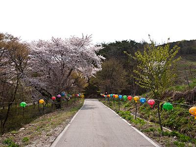 문수사 가는길 썸네일 이미지