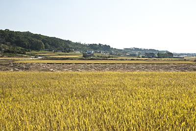 오학리 썸네일 이미지